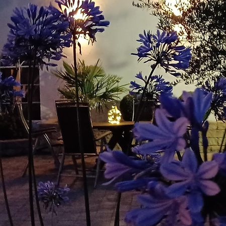 Gaestehaus Frevel Münstermaifeld エクステリア 写真
